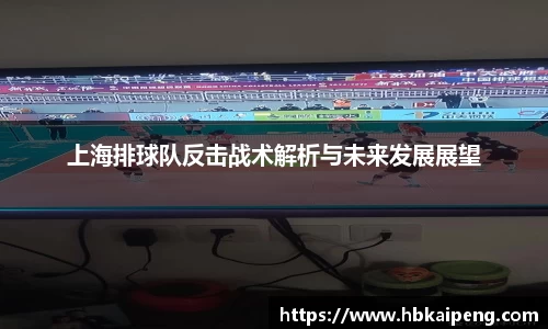上海排球队反击战术解析与未来发展展望