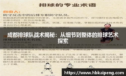 成都排球队战术揭秘：从细节到整体的排球艺术探索